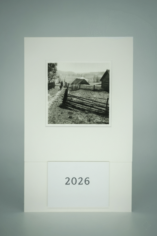 Rytas Zervynų kaime. Varėnos r., 1969 m.